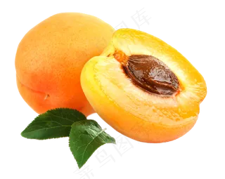 水果杏 红杏 黄杏 大杏 免抠图 