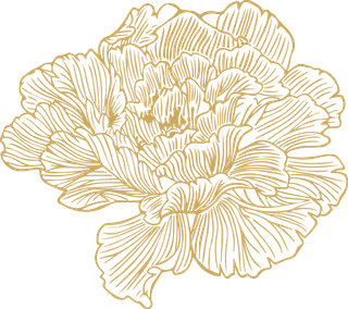 底纹 牡丹 黄色 免扣