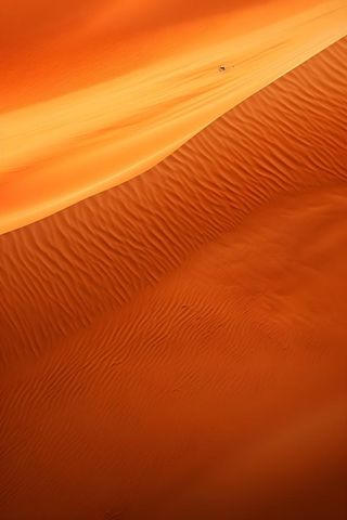 沙丘沙漠黄棕色背景