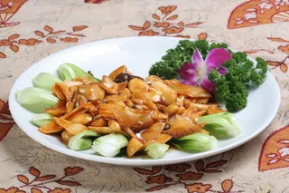 20野山菌烩螺片-猫嫂