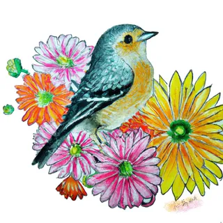 彩色手绘 花鸟 菊花