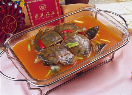 RCS-6137明炉甲鱼