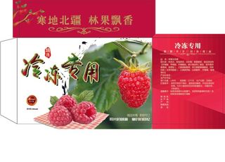 树莓汁  树莓 手绘果树 花边 绿叶