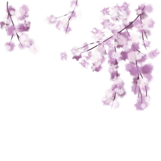 春天浪漫粉红色樱花手绘樱花梅花桃花花朵图片PNG免扣素材