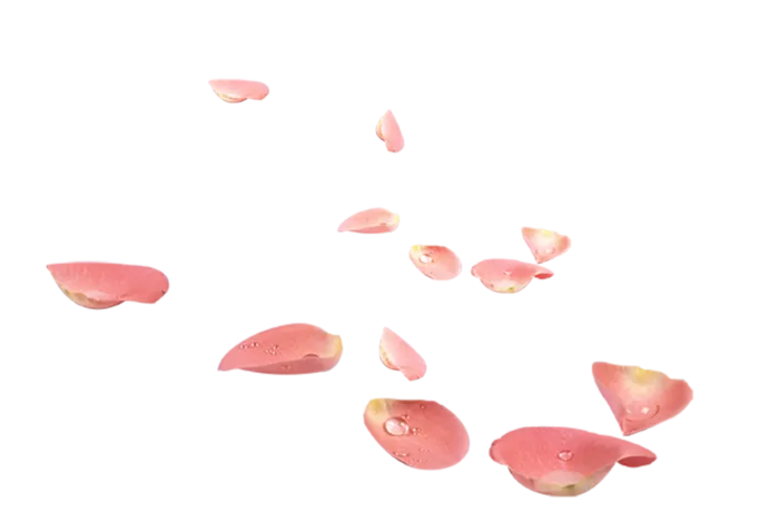 中国古风元素花瓣
