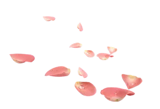 中国古风元素花瓣