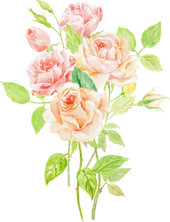 鲜花玫瑰免扣素材