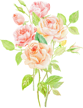 鲜花玫瑰免扣素材