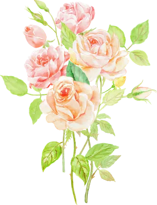 鲜花玫瑰免扣素材