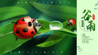 谷雨二十四节气海报设计