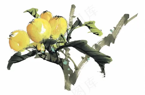 瓜果蔬菜鱼虾蟹美图摄影图片