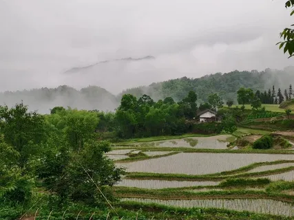 自然风景自然风光图片