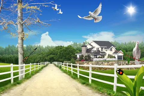 韩式自然背景 (97)