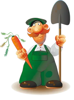 种植胡萝卜现代农业