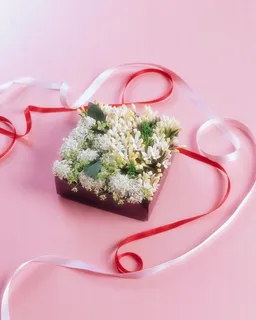 秀色可餐十 秀色可餐十