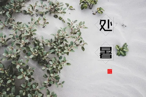 二十四节气处暑国风海报