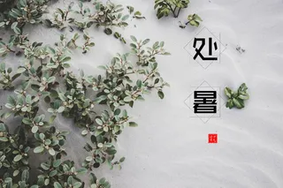 二十四节气处暑国风海报