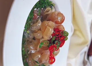 1009LC-0594酸辣海蜇