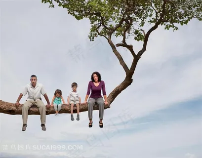 坐在树上的一家人