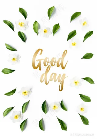 唯美树叶高清装饰画