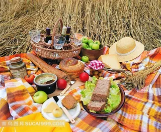 郊外野餐的餐布水果面包美食和红酒