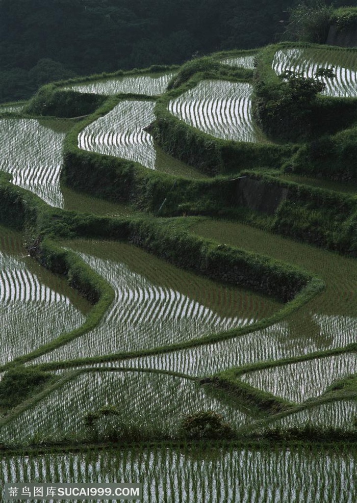 平原草原-漂亮的梯田