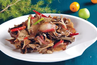 CXC02419腊味千佛菌28