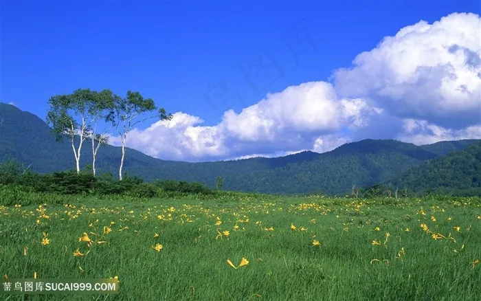 蓝天白云草地山脉风景画