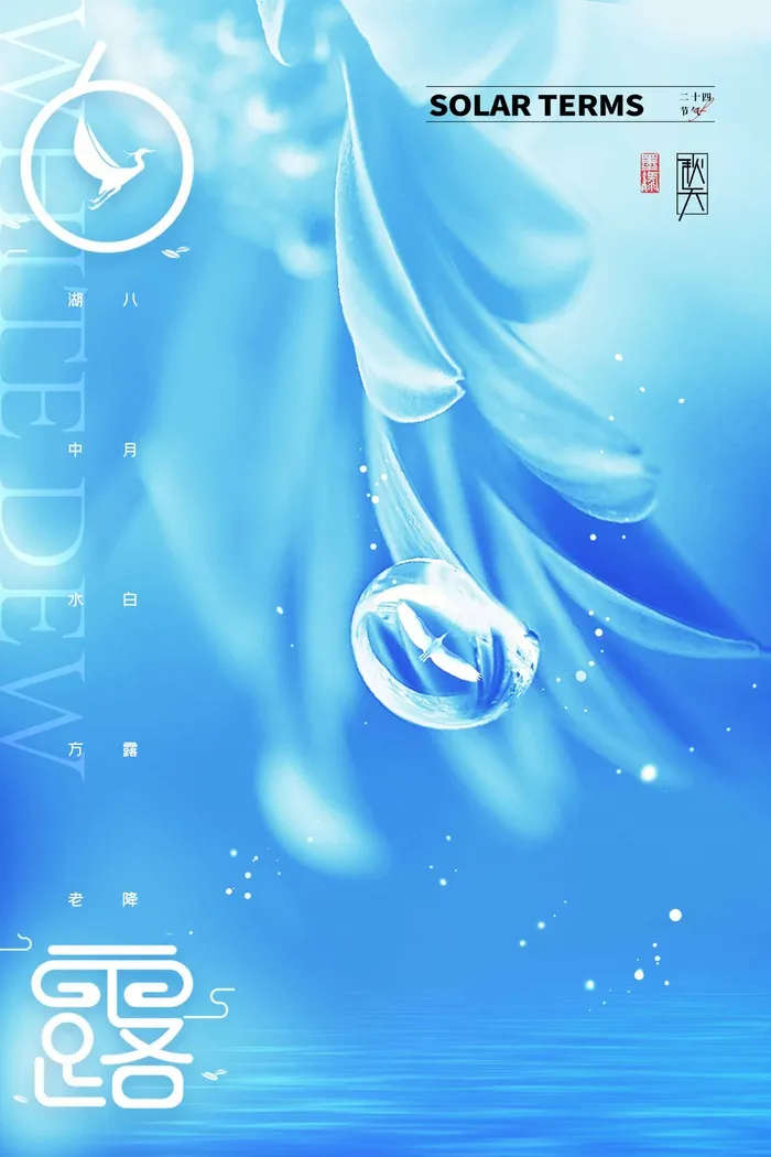 清新白露节气活动宣传海报图片