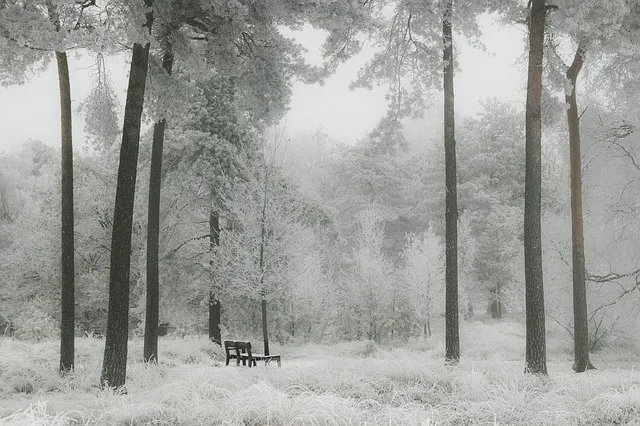 冬天白雪背景风景