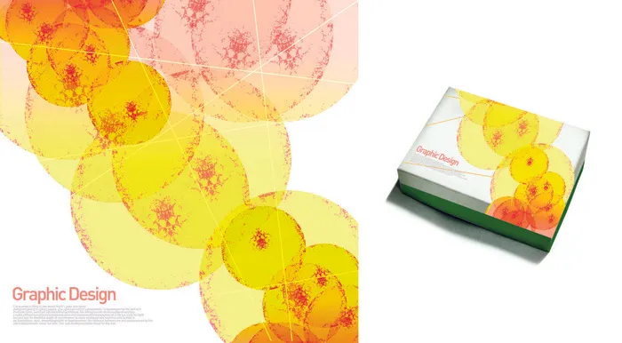 设计包装盒素材psd模版下载