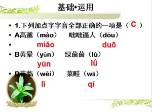 周测讲评稿预览图
