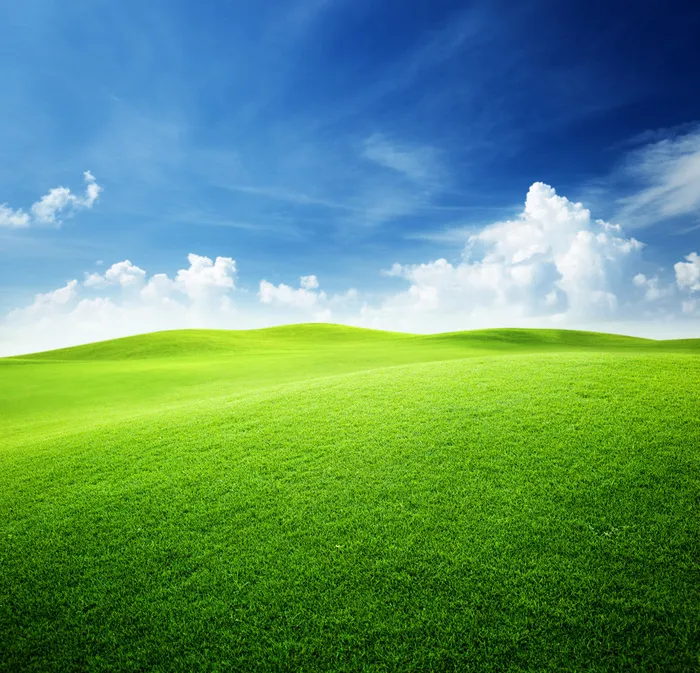 环保健康安全的概念素材背景 蓝天白云草地素材