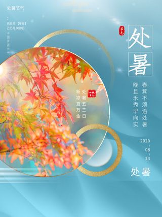 个性创意处暑摄影海报