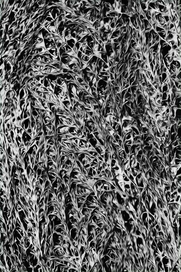 自然天然抽象艺术背景