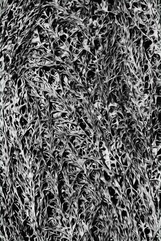 自然天然抽象艺术背景