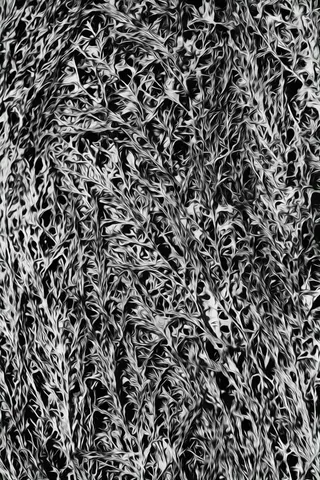 自然天然抽象艺术背景