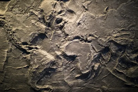 创意世界地图高清图片 创意世界地图高清图片