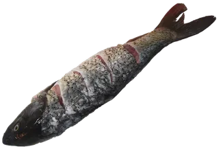 生鱼鲤鱼鲫鱼免抠摄影元素素材