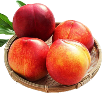 免扣素材实物桃子摄影