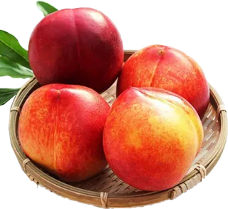 免扣素材实物桃子摄影