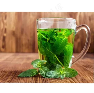 清新薄荷茶饮品摄影图片