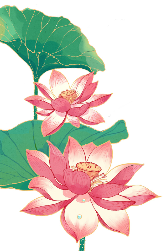 国潮中国风手绘荷花莲花荷叶莲藕植物花卉装饰插画PSD设计素材