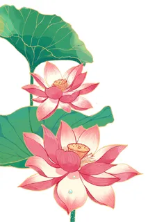 国潮中国风手绘荷花莲花荷叶莲藕植物花卉装饰插画PSD设计素材 国潮中国风手绘荷花莲花荷叶莲藕植物花卉装饰插画PSD设计素材