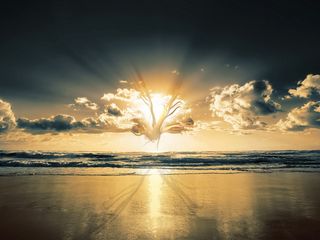 图片素材背景光影艺术