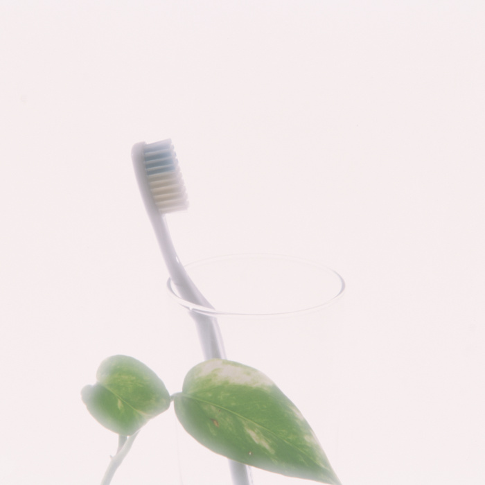 温馨生活牙刷