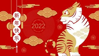 虎年中国风萌虎插画