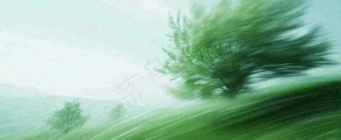高山模糊绿树植物光影，大自然摄影图(1712x704)