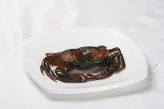 黑 局软壳蟹  