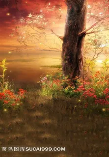 童话森林摄影背景